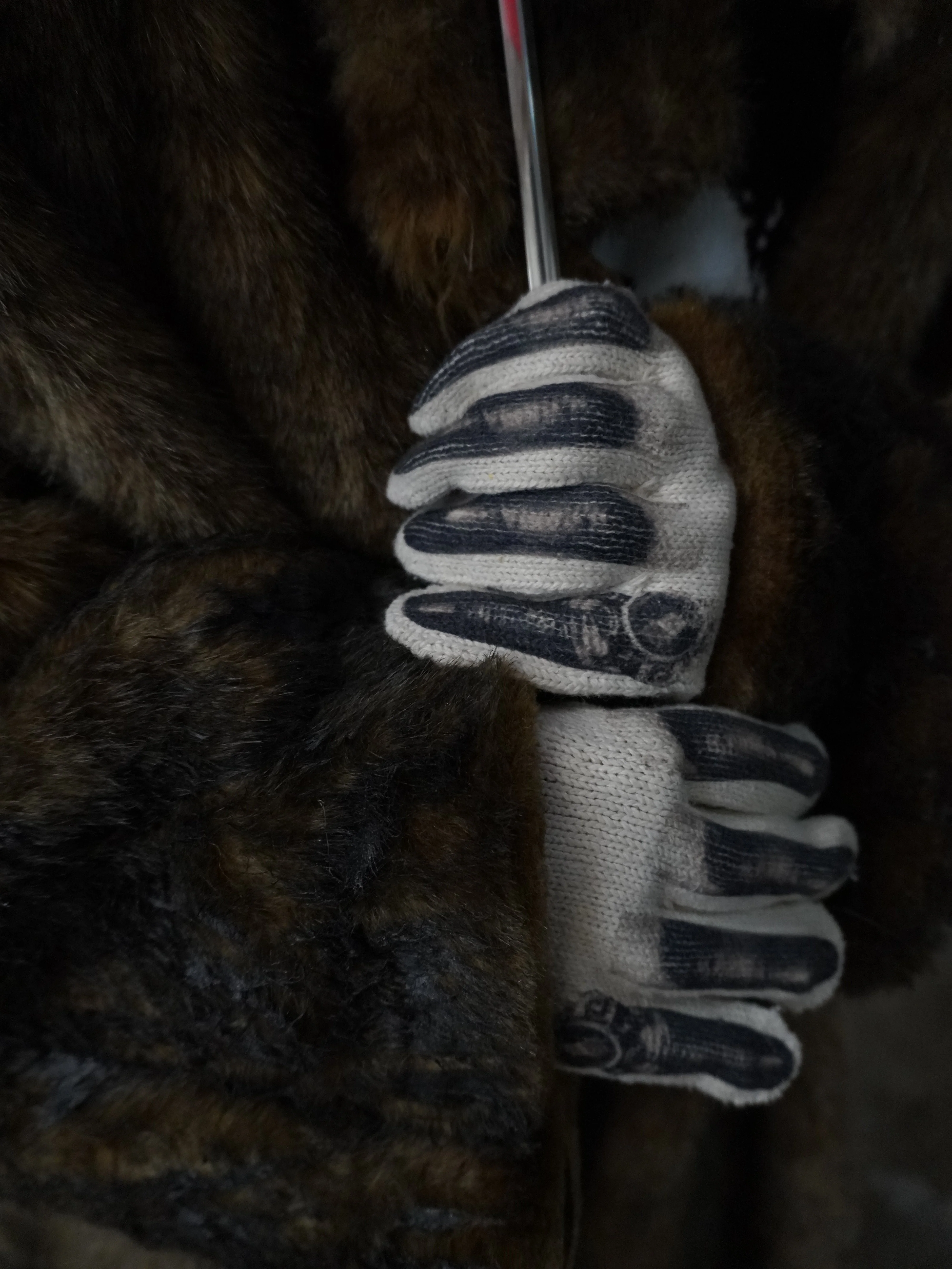 Lamy Gloves - Image 5